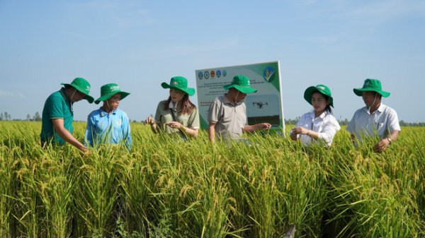 Tài chính xanh nhiên liệu chuy